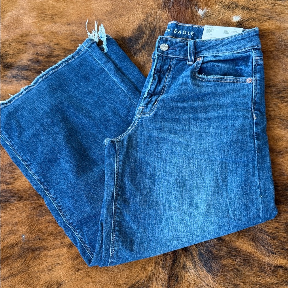 American Eagle Low Rise Baggy Wide Leg Jeans